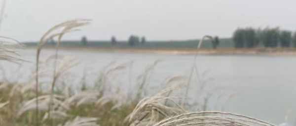 提升水质监测效率：沈阳环境检测公司的努力与实践